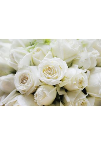  PAPERMOON фотообои »White Roses&...