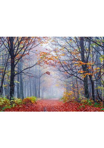  PAPERMOON фотообои »Foggy Autumn...
