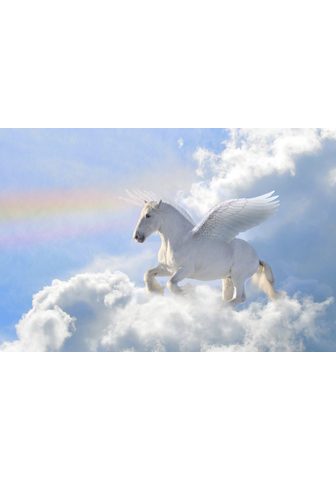  PAPERMOON фотообои »Pegasus в th...