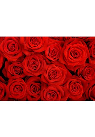  PAPERMOON фотообои »Red Roses&la...