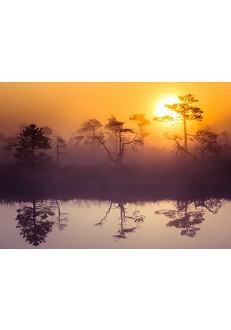  PAPERMOON фотообои »Misty Mornin...