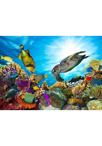  PAPERMOON фотообои »Coral Reef F...