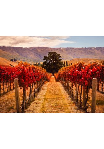  PAPERMOON фотообои »Autumn Viney...