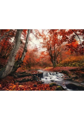  PAPERMOON фотообои »Foggy Forest...