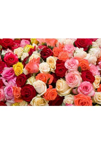  PAPERMOON фотообои »Roses«...