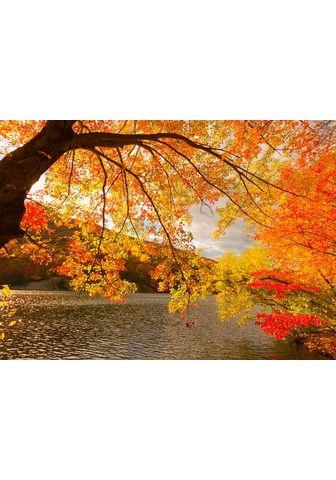  PAPERMOON фотообои »Autumn Scene...