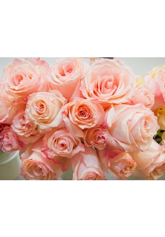  PAPERMOON фотообои »Pink Roses&l...