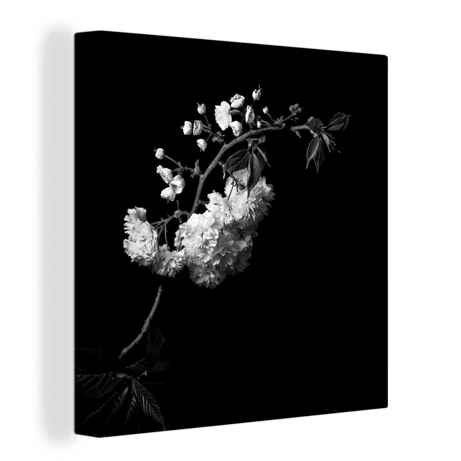 OneMillionCanvasses® Leinwandbild Eine Kirschblüte vor schwarzem Hintergrund - schwarz-weiß, (1 St), Leinwand Bilder für Wohnzimmer Schlafzimmer
