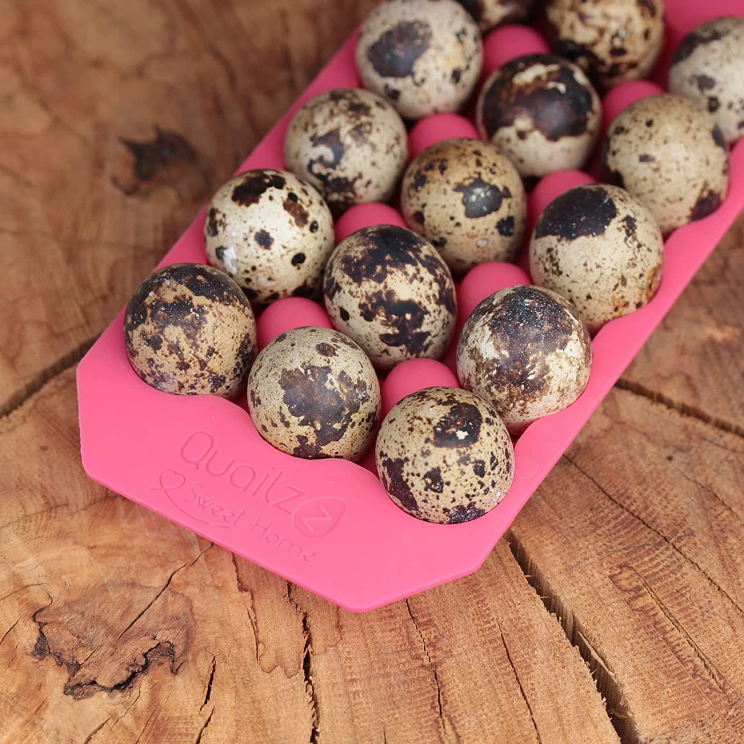 Quailzz Eierbecher Fridge Cup Wachteleierschale Eierhalter, (Silikon Eierschale - abwaschbar - erhältlich in zwei Farben)