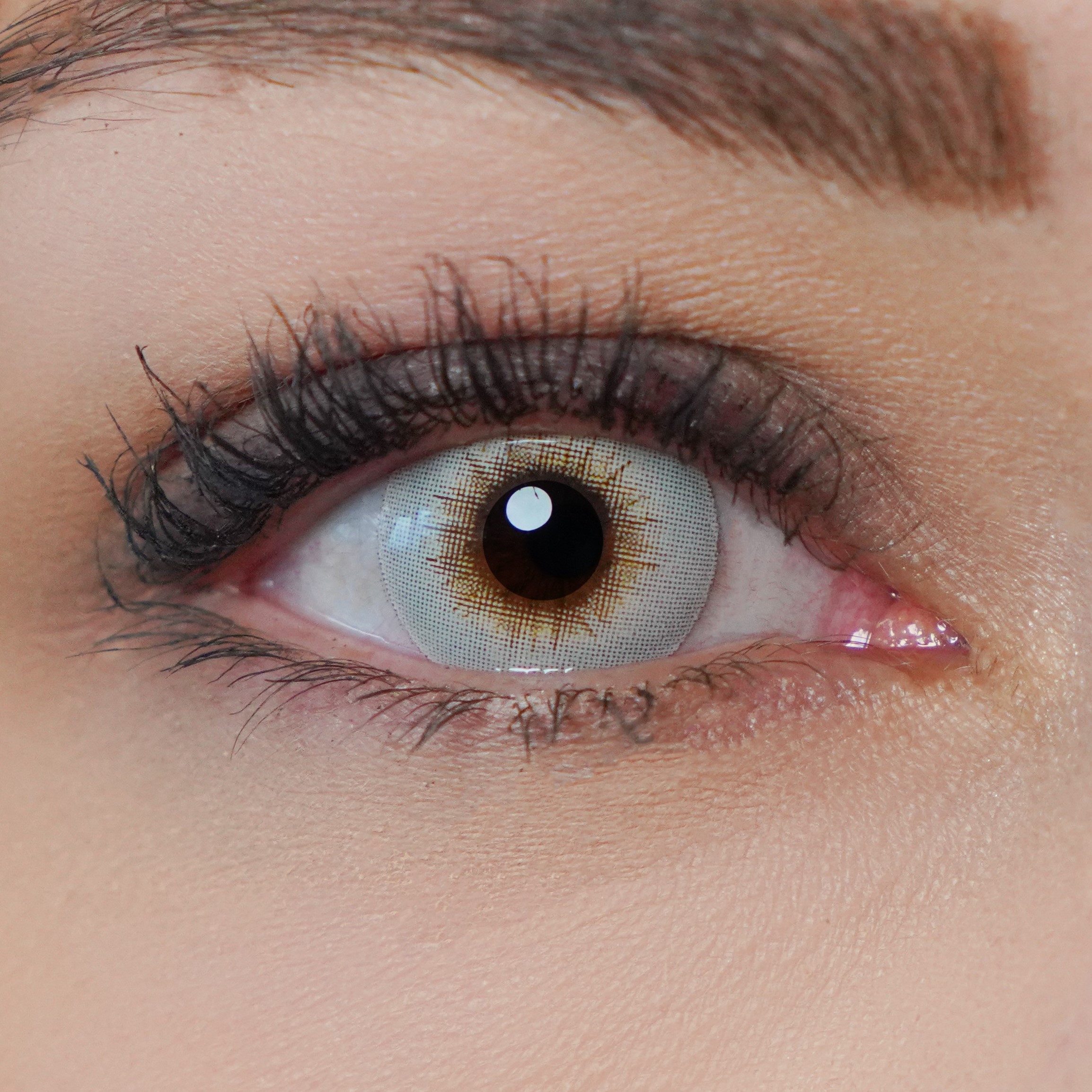 Charmiga Monatslinsen Farbige Kontaktlinsen ohne Stärke, Farblinsen, Halloween, Bonita Gray, Farbige Kontaktlinsen