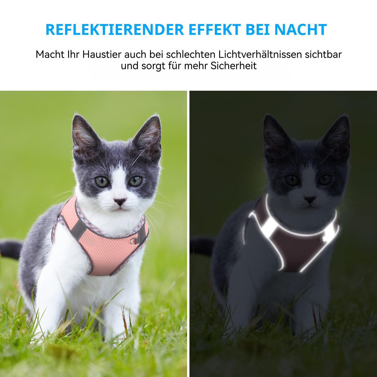 Beaface Hunde-Geschirr Katzen-Geschirr, Ausbruchssicher, Verstellbares Katzen-Geschirr, mit Leine, Reflektierende Streifen, Weiches Katzen-Geschirr