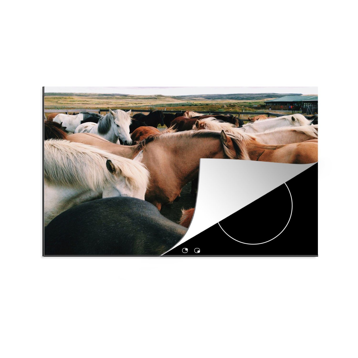 MuchoWow Herdblende-/Abdeckplatte Pferde - Tiere - Spiel, Vinyl, (1 tlg), 80x52 cm, Induktionskochfeld Schutz für die küche, Ceranfeldabdeckung
