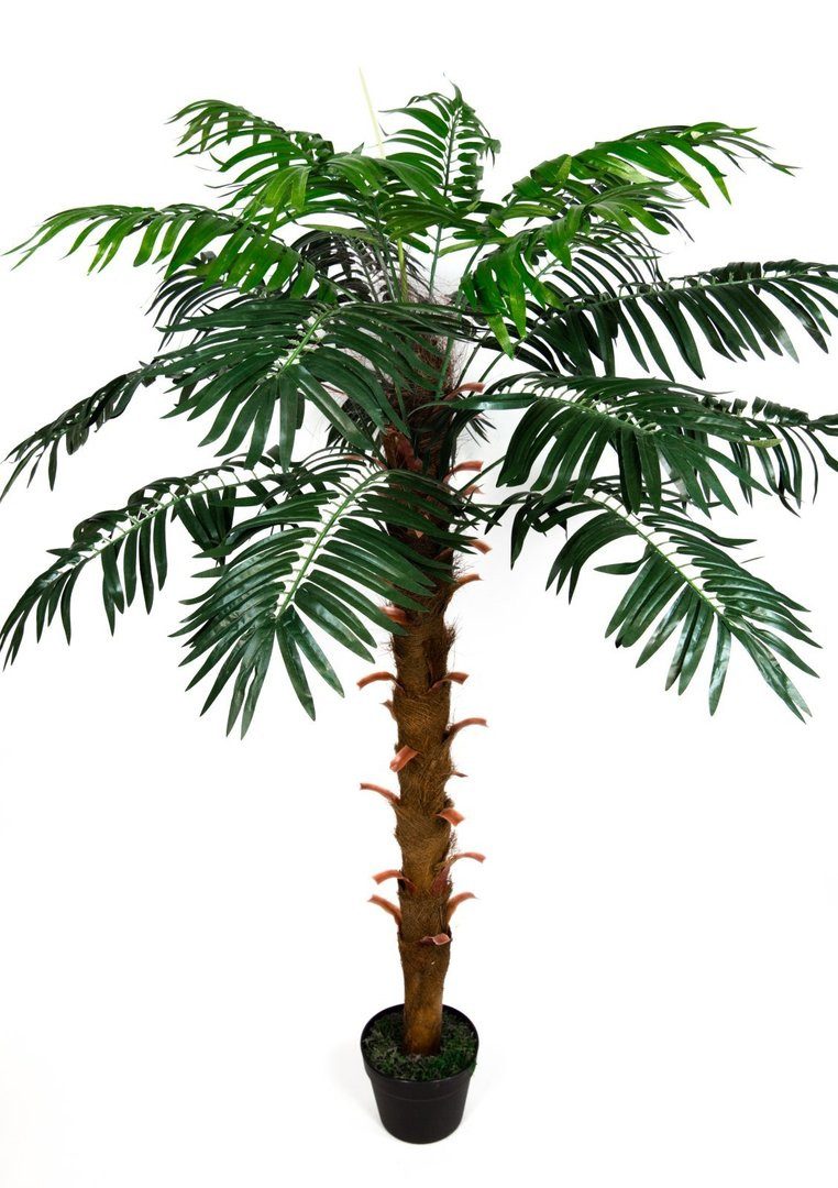 Kunstpalme Phönixpalme 140cm ZJ Dekopalme künstliche günstig online kaufen