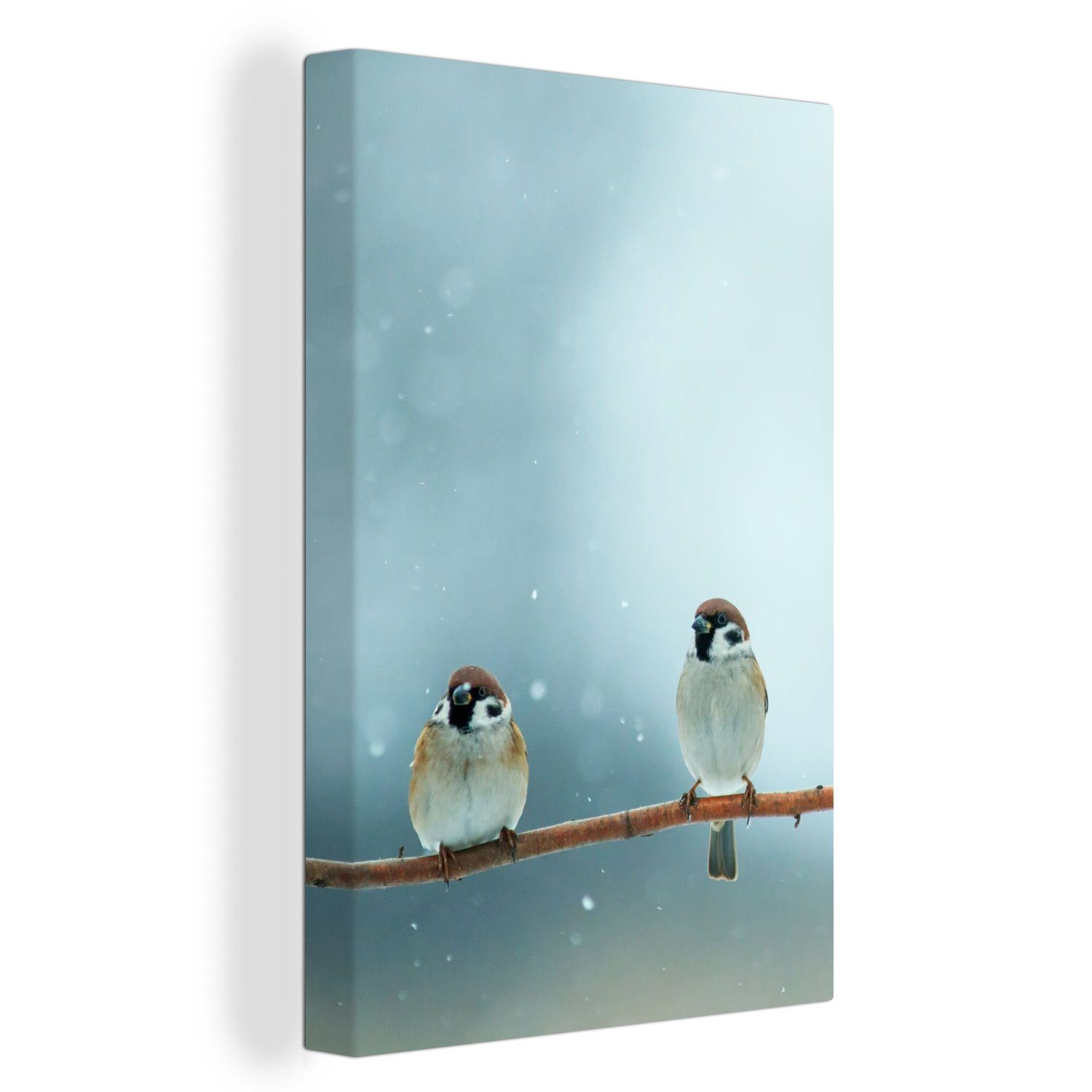 OneMillionCanvasses® Leinwandbild Vögel - Spatz - Schnee - Winter, Fotodruc günstig online kaufen