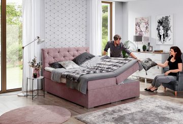 yourhouse24 Boxspringbett BALVIN Designerbett Hotelbett mit Bettkasten Kontinentales Bett