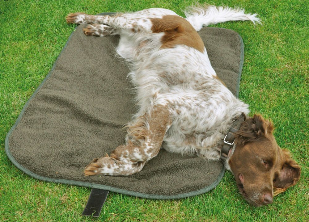 Thumbnail - Hubertus® Hunting Hundematte Hunde-Outdoorbett Hundebett Hundedecke von Oefele Jagd & Outdoor NEU