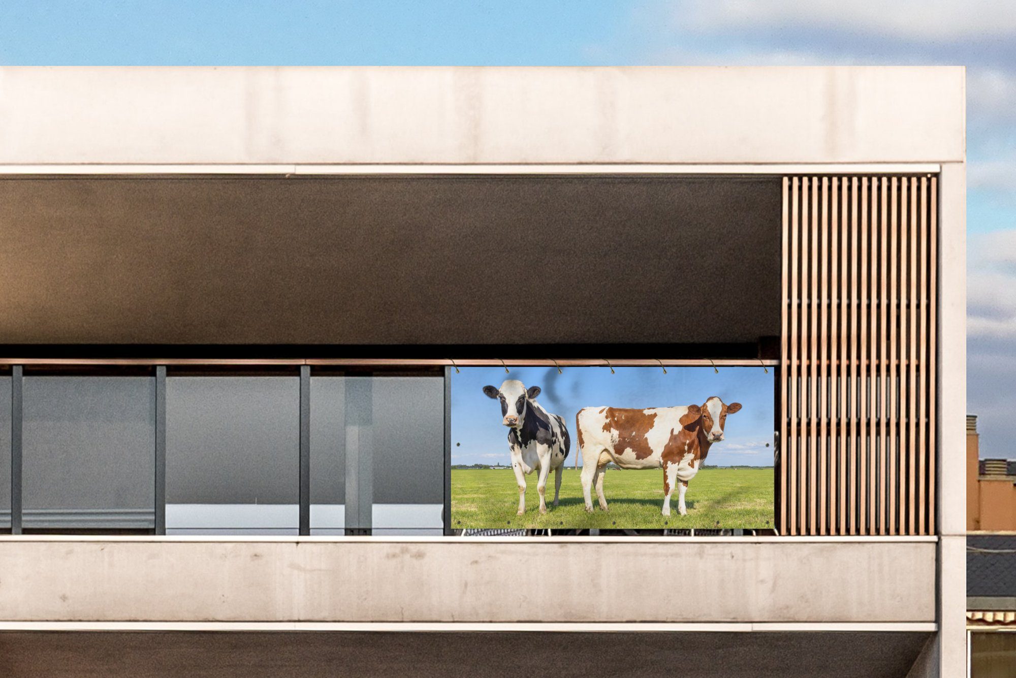 Thumbnail - MuchoWow Balkonsichtschutz Kühe - Bauernhof - Gras - Natur - Tiere (1-St) Balkon Sichtschutz 90x200, Windschutz für Zaun...