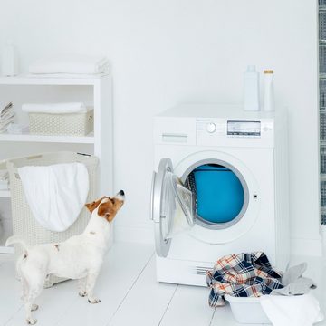 Navaris Wäschesack Haustier Wäschesack für die Waschmaschine - Wäschebeutel (1 St)