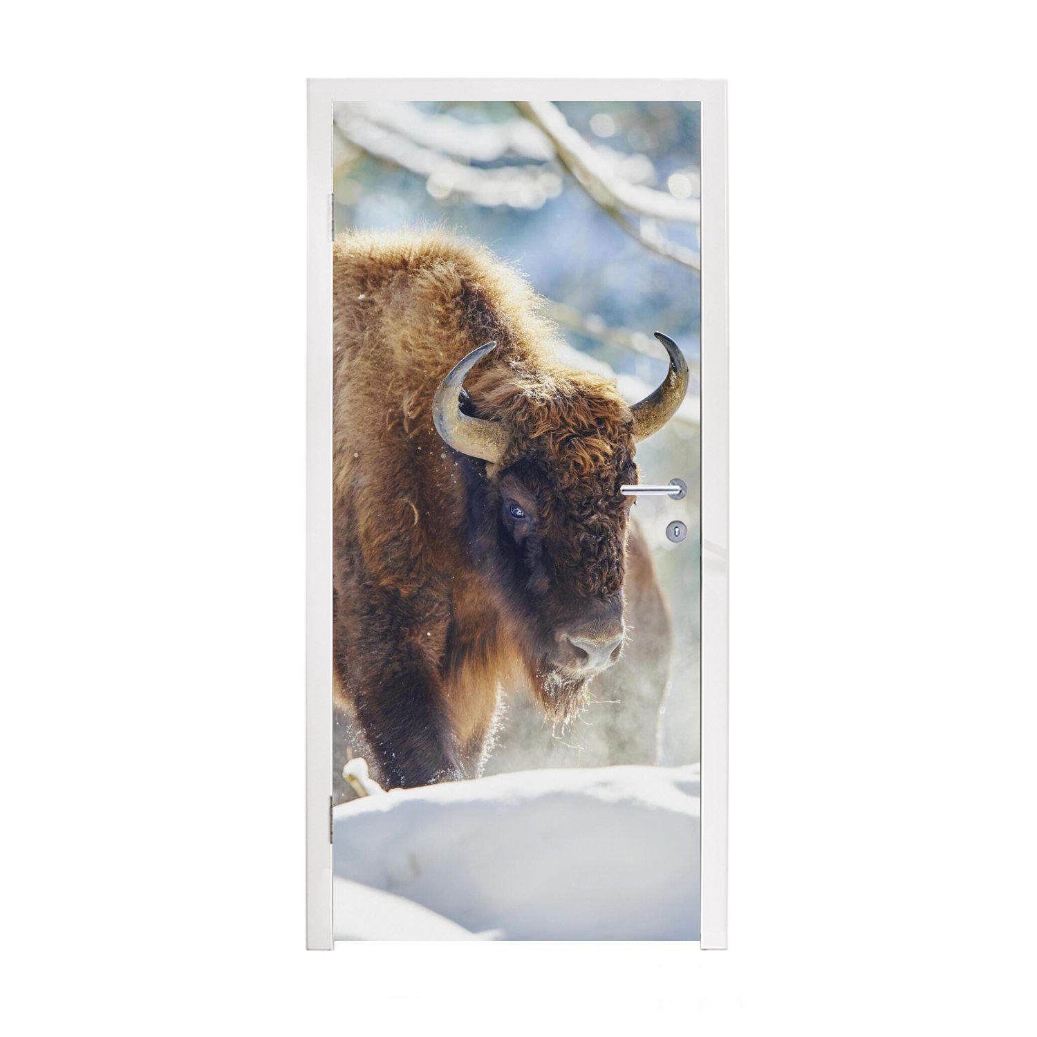 MuchoWow Türtapete Wisente laufen durch den Schnee im Nationalpark Bayerischer Wald, Matt, bedruckt, (1 St), Fototapete für Tür, Türaufkleber, 75x205 cm