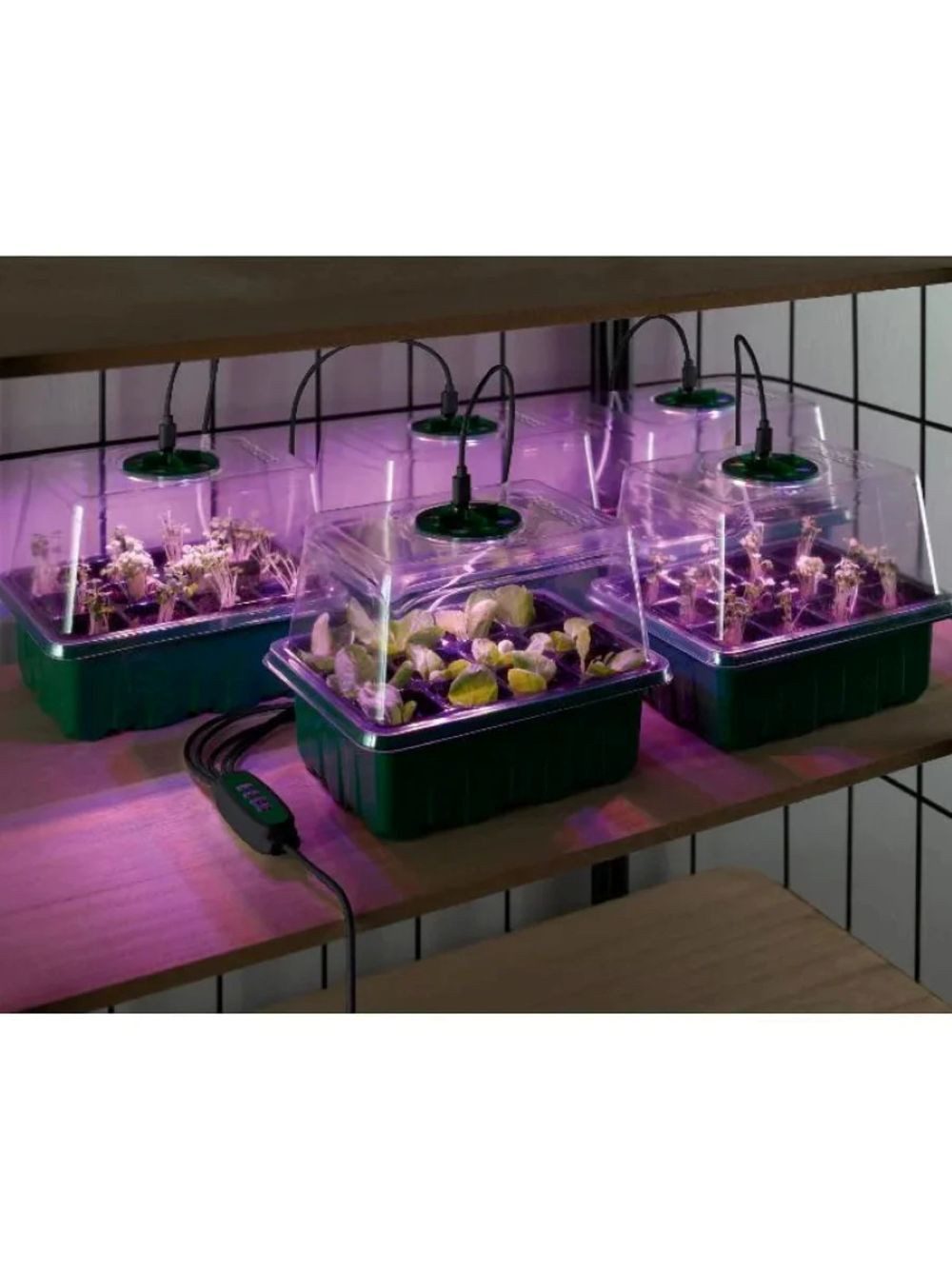 Parkside Anzuchttopf LED Anzuchtkasten Set mit Pflanzenlicht, Mini Gewächshaus (Set, 33 St., 5er-Set), LED Pflanzenlicht mit Timerfunktion – Bild 2 von 5