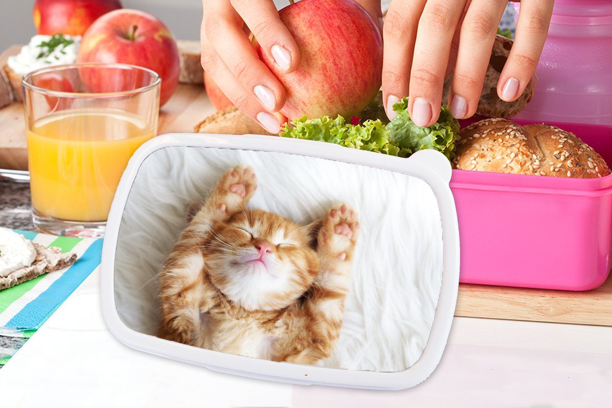 rosa - (2-tlg), Brotbox Brotdose Kätzchen, Rot - Haustiere Snackbox, Erwachsene, Kunststoff, Kinder, Lunchbox Kunststoff - für Mädchen, Katze MuchoWow