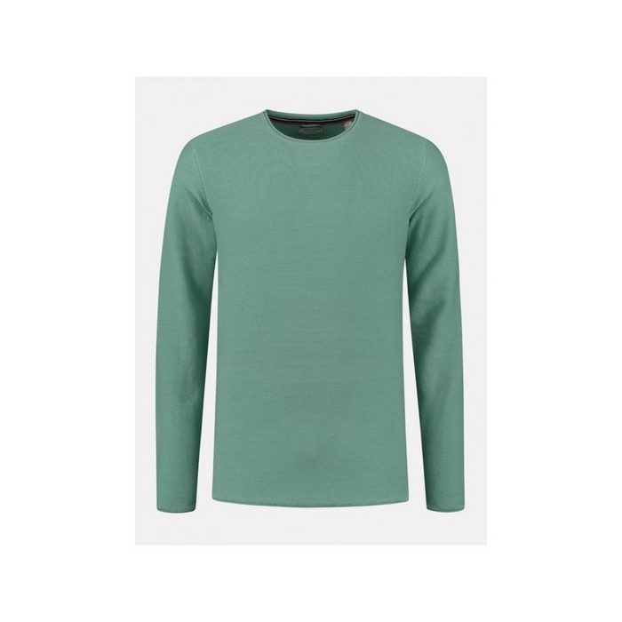 Dstrezzed T-Shirt grün regular fit (1-tlg) BB6946