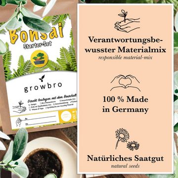 growbro Gartenpflege-Set 3 X Bonsai Light Anzuchtset - Züchte deinen neuen BRO, # Kleines Geschenk # Bonsai Geschenk # Bonsai Samen # TikTok Trend