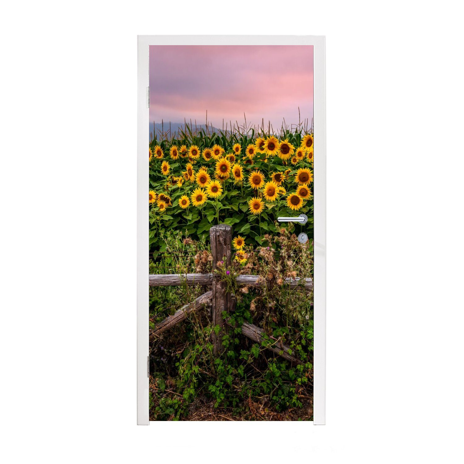 für cm (1 Türaufkleber, St), MuchoWow 75x205 - bedruckt, Matt, Tür, Pflanzen, Türtapete Fototapete Blumen - Sonnenblume
