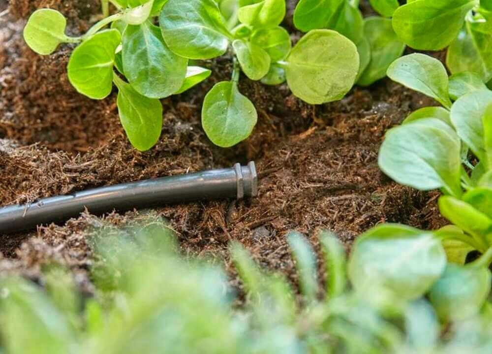 Thumbnail - GARDENA Bewässerungssystem