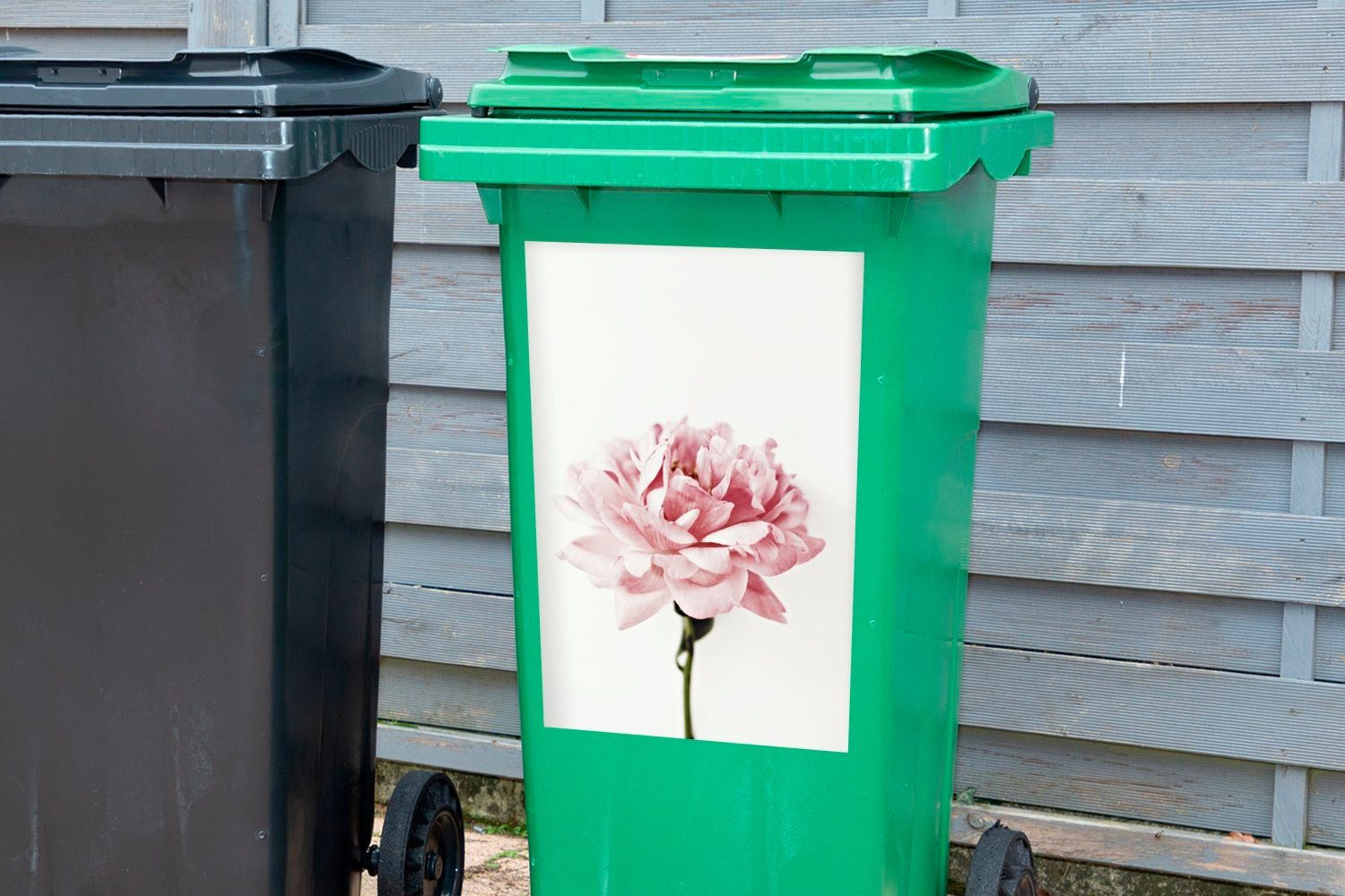 Abfalbehälter Nahaufnahme Mülleimer-aufkleber, (1 einer Mülltonne, rosa St), MuchoWow Sticker, Pfingstrose Wandsticker Container,