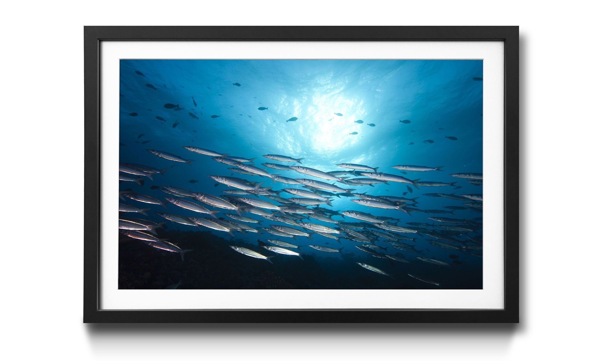 WandbilderXXL Bild mit Rahmen Shoal In Deep Blue, Fische, Wandbild, in 4 Größen erhältlich