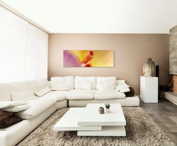 Sinus Art Leinwandbild Naturfotografie  Orangerote Blütenblätter auf Leinwand exklusives Wandbild moderne Fotografie für i