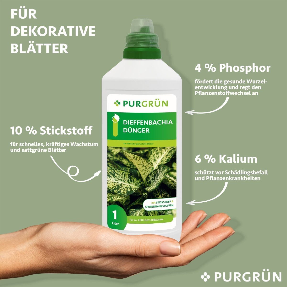 Purgrün Universaldünger Purgrün Dieffenbachia Dünger, NPK günstig online kaufen