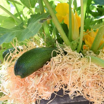 naturling Gartenbau-Substrat Garten Holzwolle 2,5KG, mit unbehandelte Natur Fichte Gemüsewolle zum Mulchen, (1-St), für Erdbeeren und Gemüse