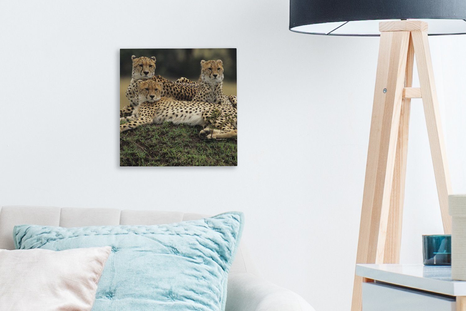 Geparden Leinwand für Drei Leinwandbild Schlafzimmer Bilder der (1 Wohnzimmer OneMillionCanvasses® St), in Savanne,