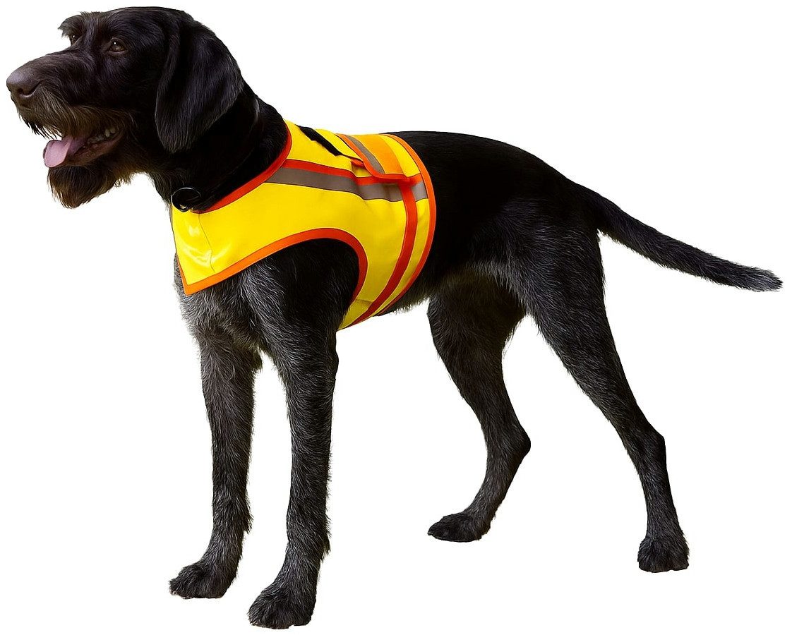 La Chasse® Hundewarnweste Reflektor-Weste für Jagdhunde Signalweste von Oefele Jagd & Outdoor