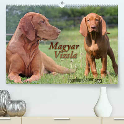 CALVENDO Wandkalender Familienplaner - Magyar Vizsla (Premium, hochwertiger DIN A2 Wandkalender 2023, Kunstdruck in Hochglanz)