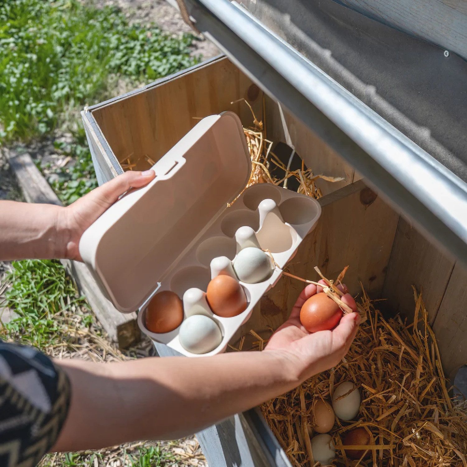 KOZIOL Eierkorb Eierbox Eggs To Go Bloomies camellia, Kunststoff