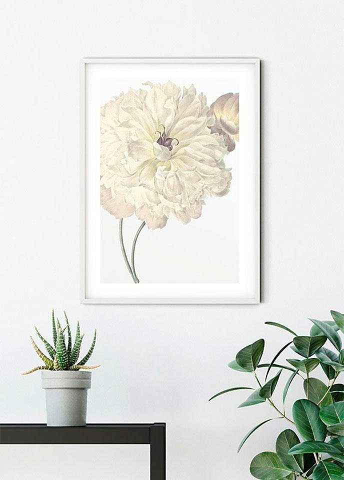 Komar Bild Illustration Dahlia, Blumen (1 St), Wandbild zur Dekoration - ohne Rahmen