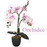 Orchidee Modell 6 / Höhe: ca. 45 cm