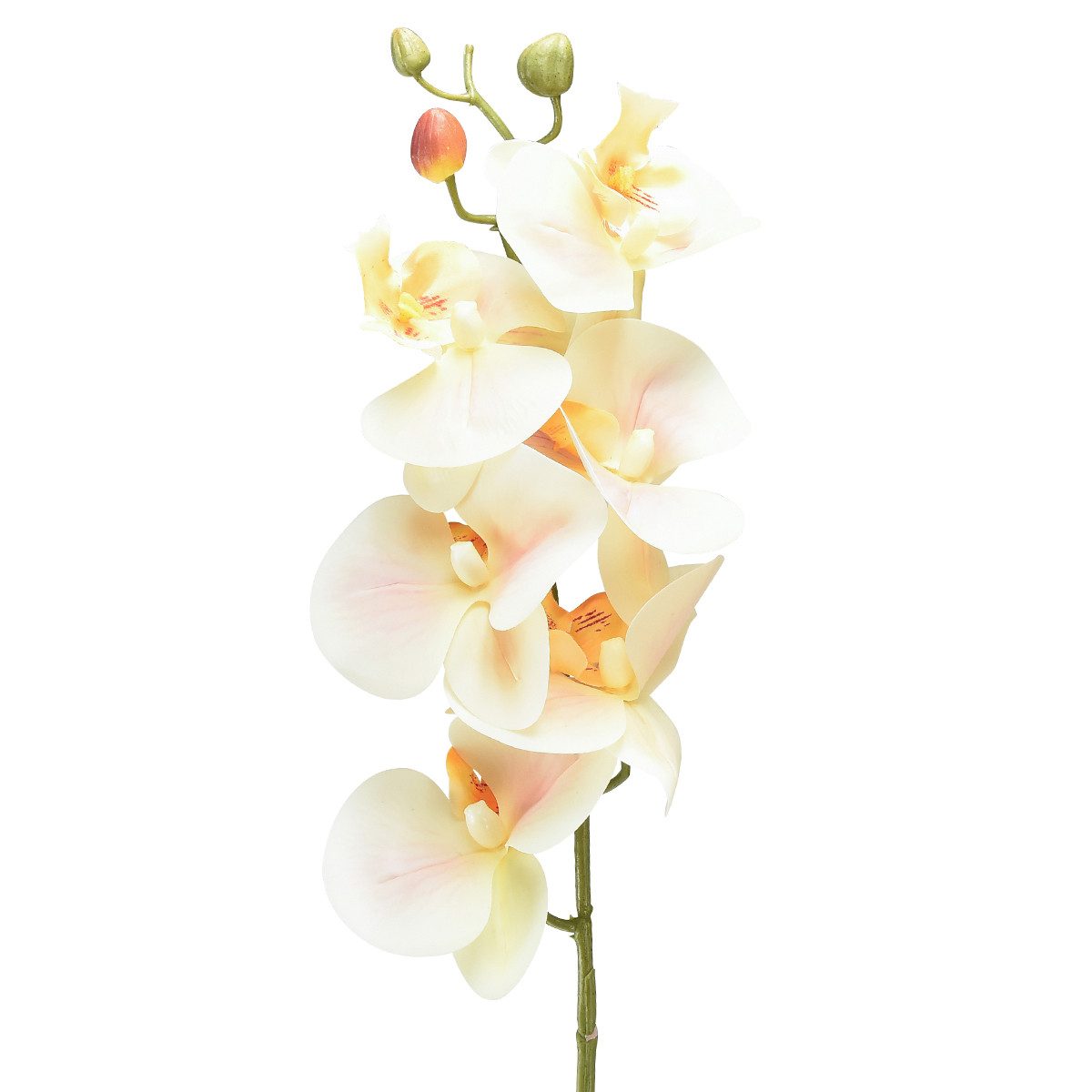 Kunstorchidee Künstliche Orchidee Creme Orange 78cm günstig online kaufen