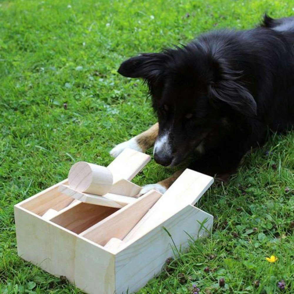 Procyon Tier-Intelligenzspielzeug PROCYON Intelligenzspielzeug Hundeklavier günstig online kaufen