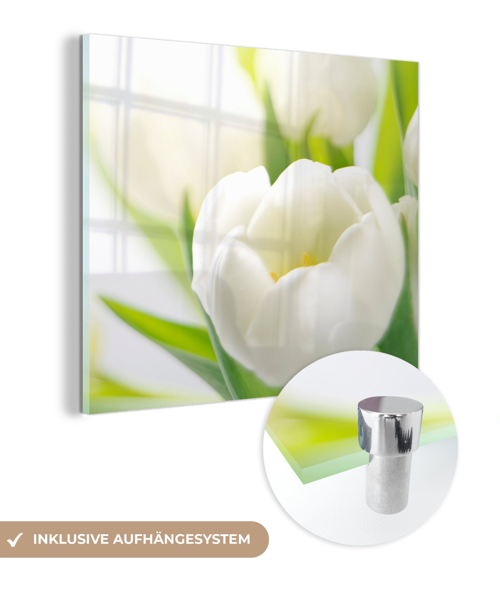 MuchoWow Acrylglasbild Nahaufnahme einer weißen Tulpe, (1 St), Glasbilder - Bilder auf Glas Wandbild - Foto auf Glas - Wanddekoration