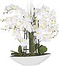 Kunstpflanze Orchidee, Creativ green, Höhe 70 cm, Bild 3