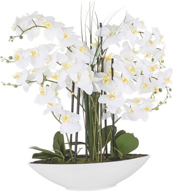 Kunstpflanze Orchidee, Creativ green, Höhe 70 cm