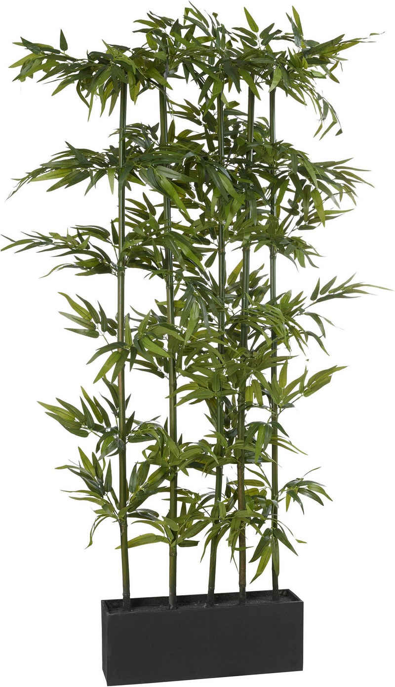 Kunstpflanze »Bambus«, Creativ green, Höhe 165 cm