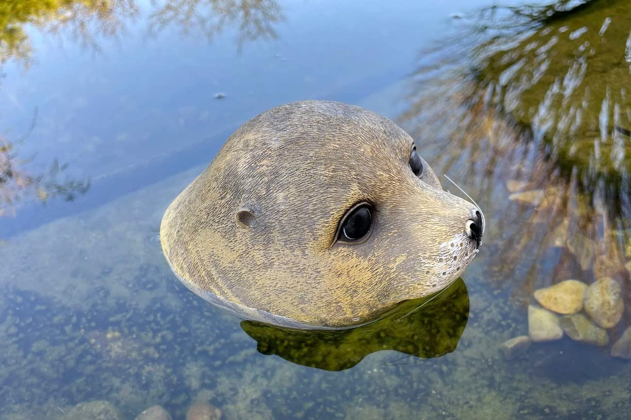 LB H&F Lilienburg Teichfigur Teichfigur Seehund Kopf Schwimmtier Dekofigur günstig online kaufen