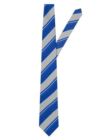Галстук в видимый Design