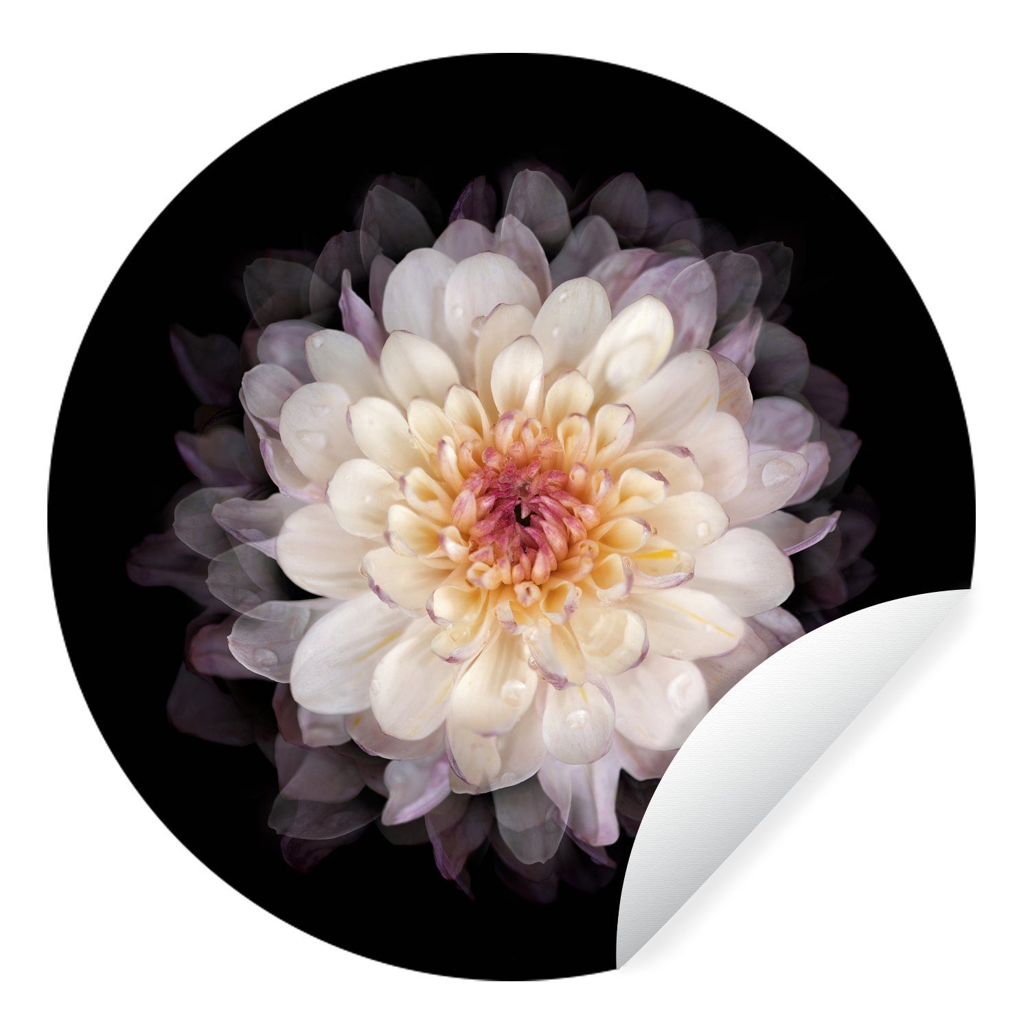 MuchoWow Wandsticker Blume - Weiß - Rosa (1 St), Tapetenkreis für Kinderzimmer, Tapetenaufkleber, Rund, Wohnzimmer