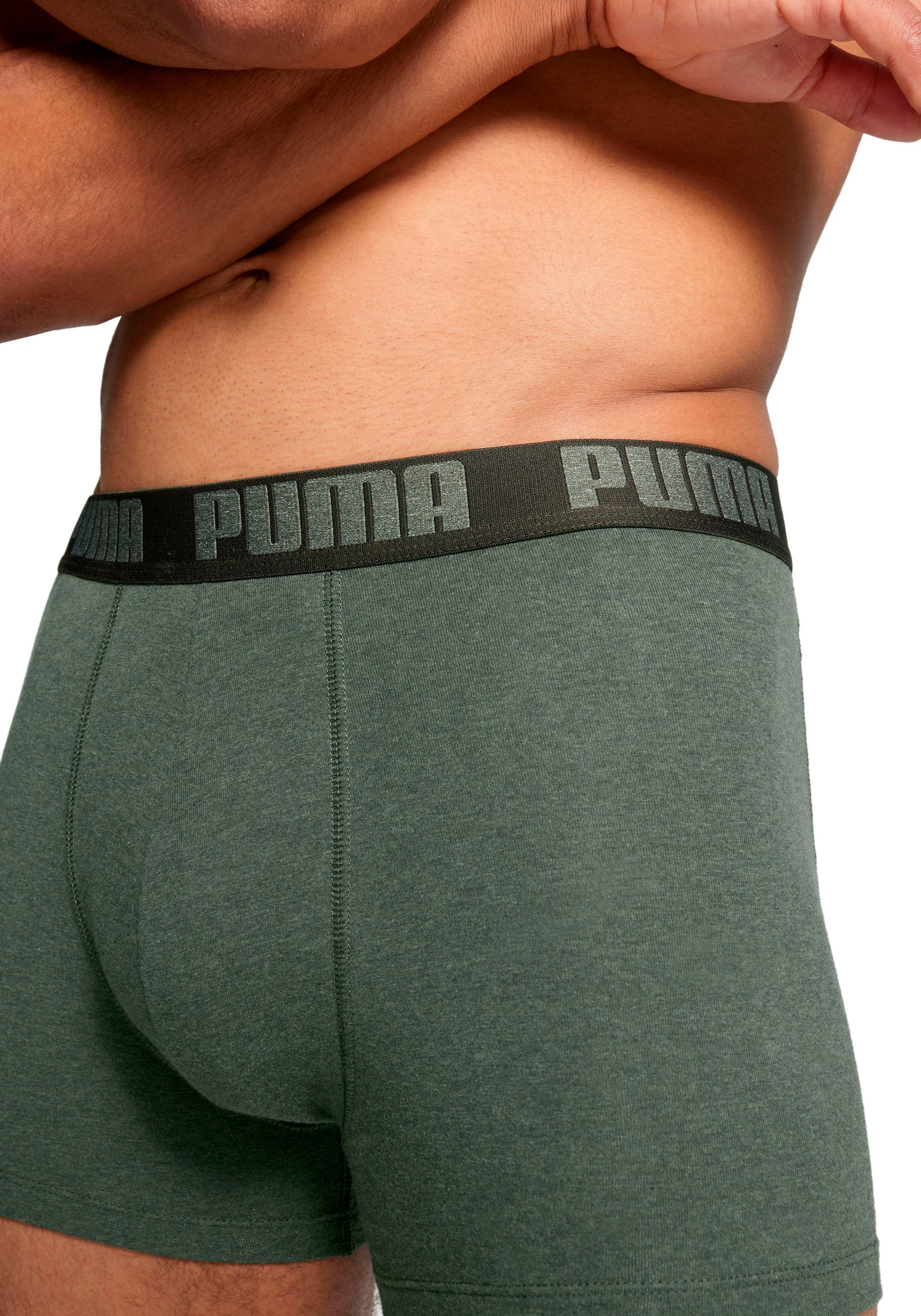 PUMA PUMA BOXER (Packung, 2-St) 2P green-melange BASIC Boxer